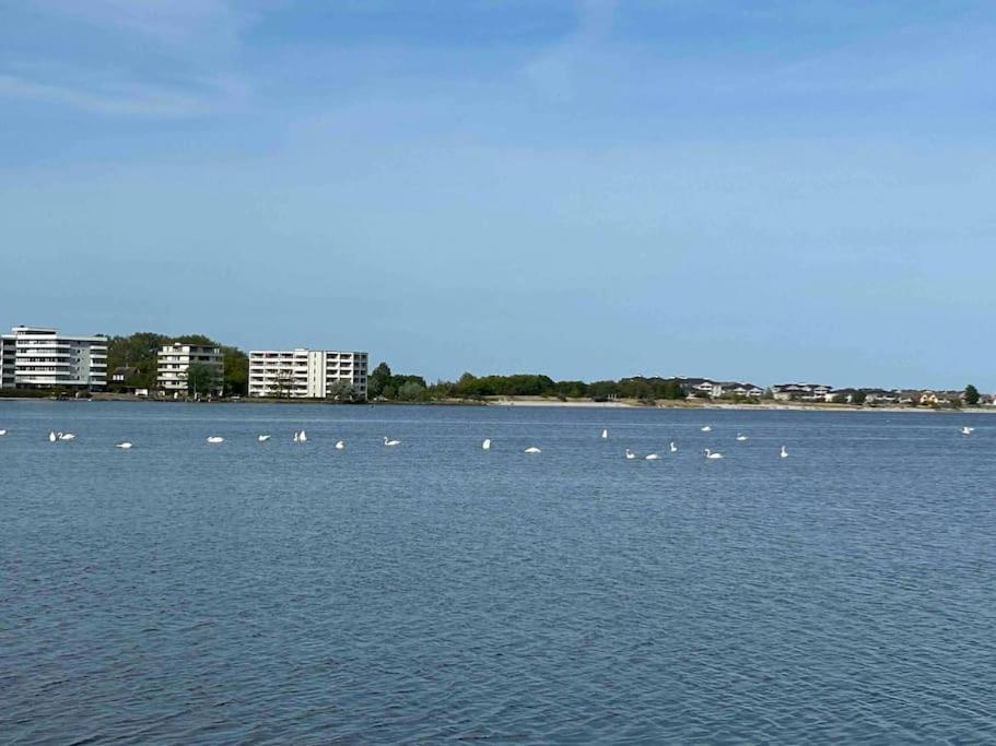 Seaview, Beach, Sunsets, Nature Heiligenhafen Luaran gambar